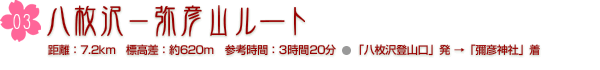 八枚沢−弥彦山ルート