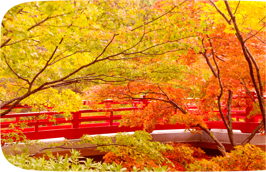 彌彥公園　紅葉谷