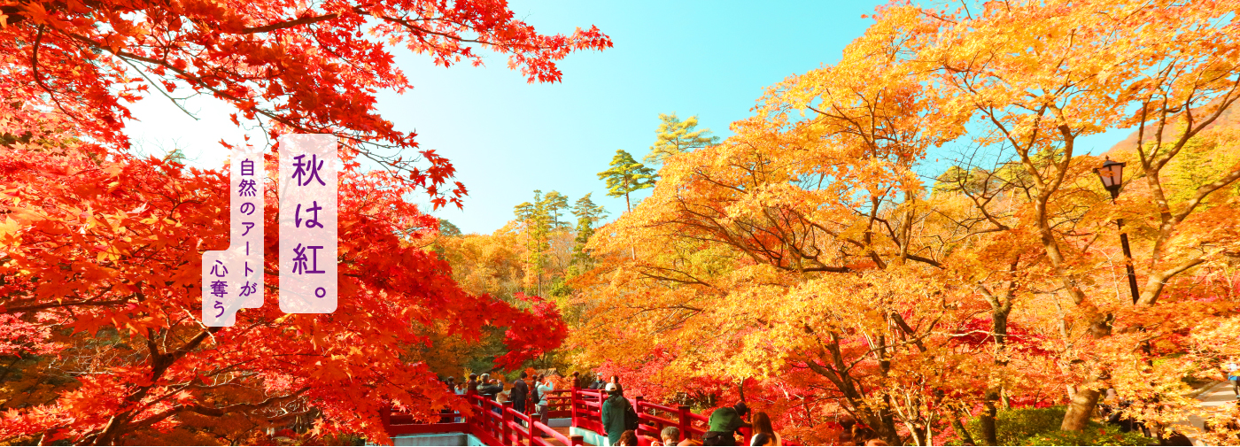 秋は紅。自然のアートが心奪う