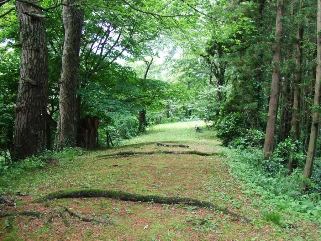 城山森林公園