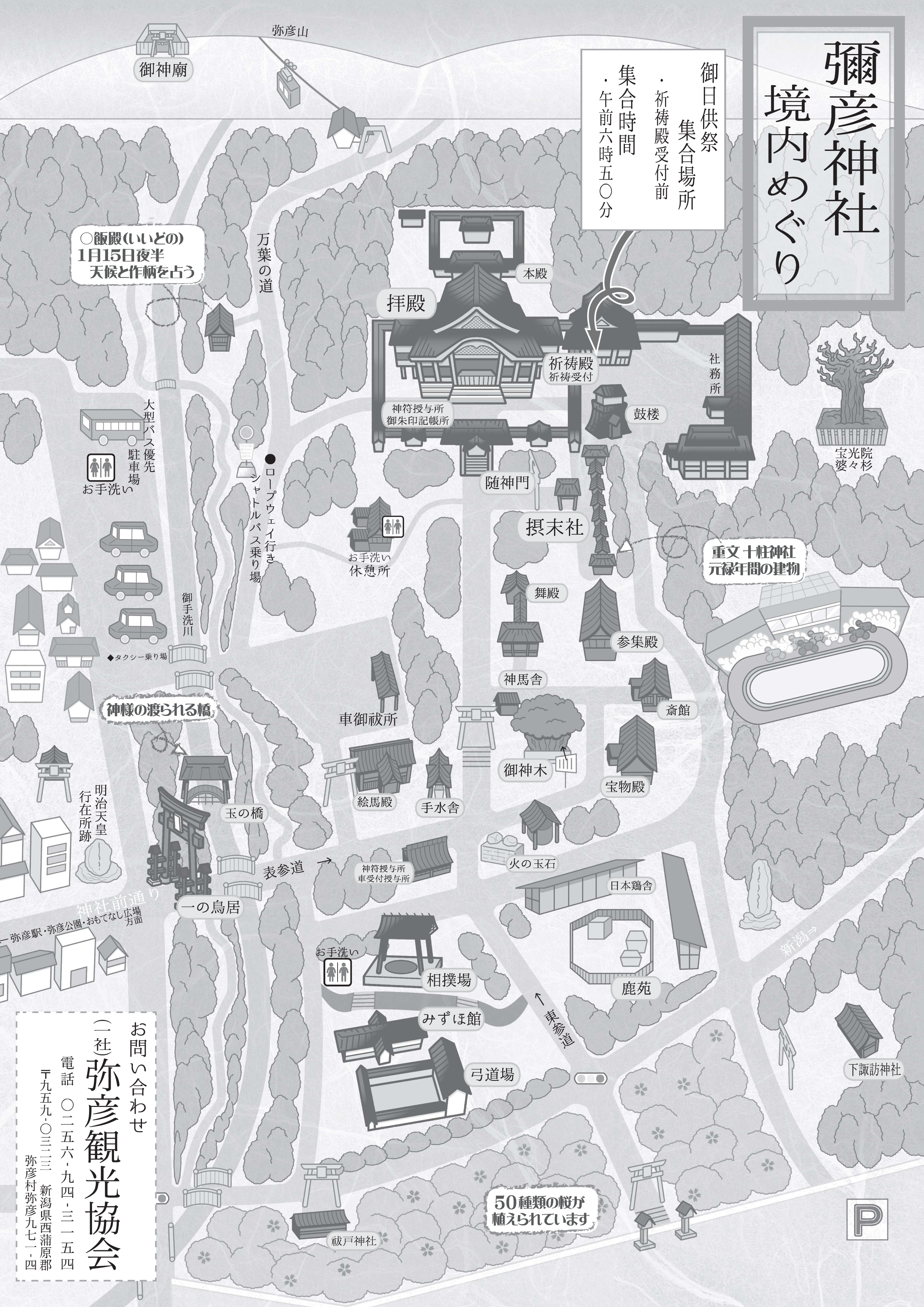 彌彦神社境内めぐりマップ＆おやひこさま系図 神社境内のガイドマップと神様の解説