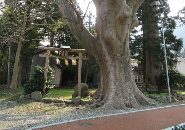 上諏訪神社