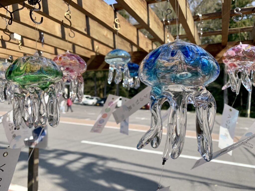 TAKU GLASS