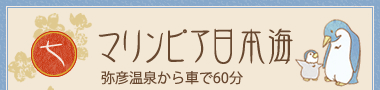 }sA{C F򂩂Ԃ60