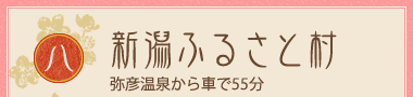 Vӂ邳Ƒ F򂩂Ԃ55